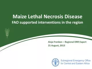 Maize Lethal Necrosis Disease FAO supported interventions in the region