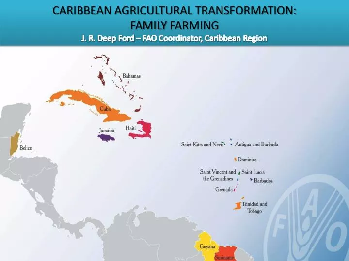 fao in the caribbean