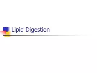 Lipid Digestion