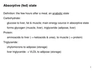 Absorptive (fed) state