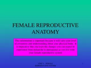 FEMALE REPRODUCTIVE ANATOMY