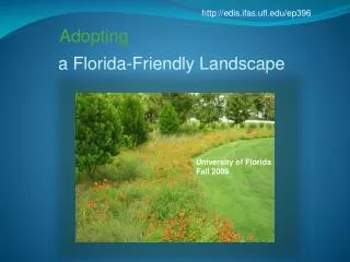 a Florida-Friendly Landscape