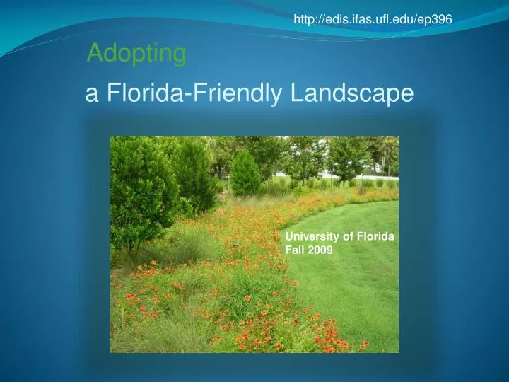 a florida friendly landscape