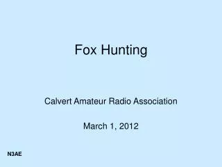 Fox Hunting