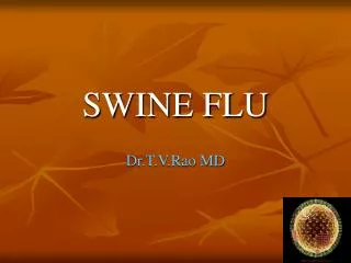 swine flu