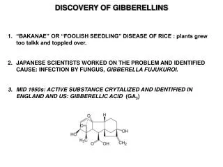 DISCOVERY OF GIBBERELLINS