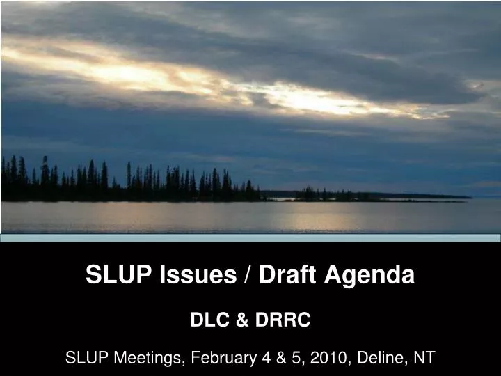 slup issues draft agenda