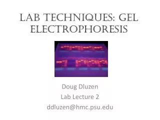 Lab Techniques: Gel electrophoresis