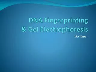 DNA Fingerprinting &amp; Gel Electrophoresis