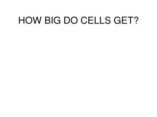 HOW BIG DO CELLS GET?