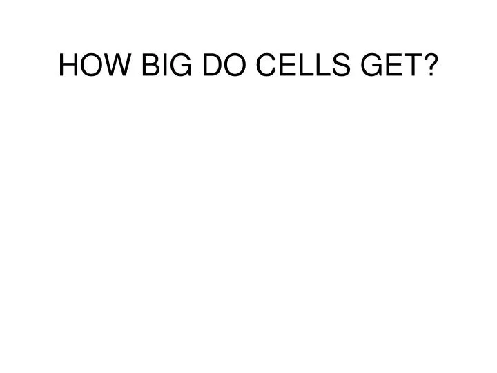 how big do cells get