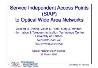 Service Independent Access Points (SIAP) to Optical Wide Area Networks