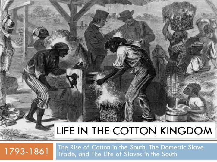 life in the cotton kingdom