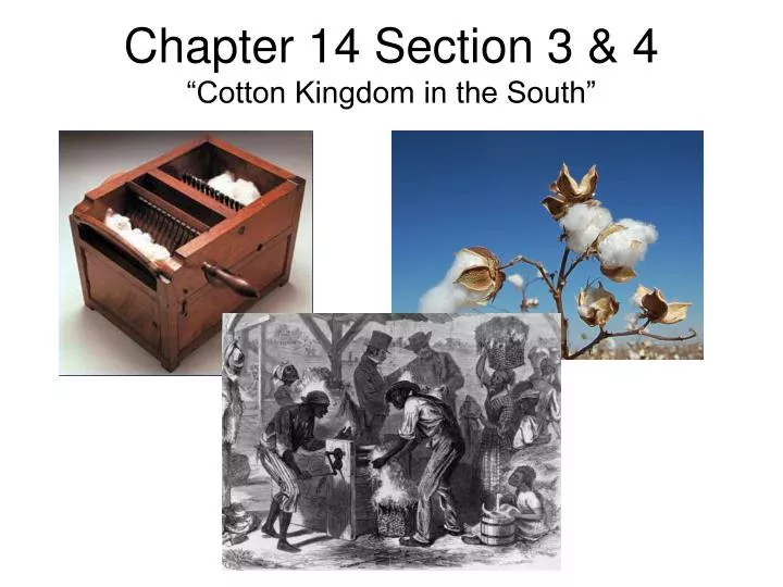 chapter 14 section 3 4 cotton kingdom in the south