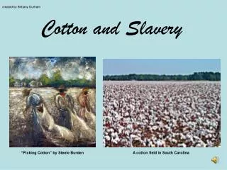 Cotton and Slavery