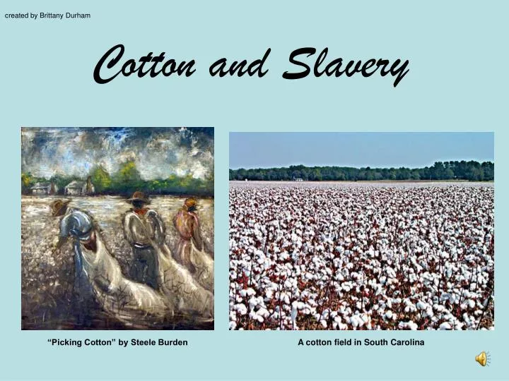 cotton and slavery