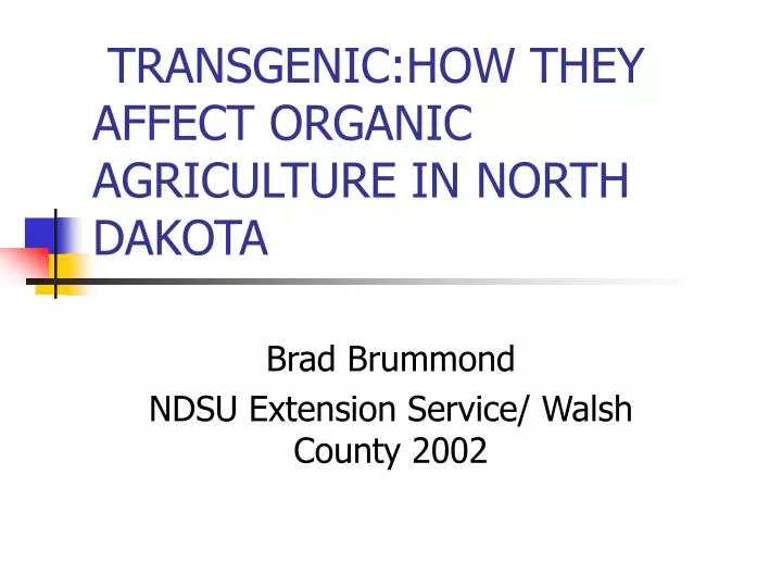 transgenic how they affect organic agriculture in north dakota