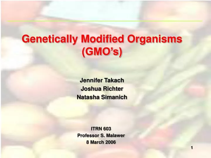 genetically modified organisms gmo s