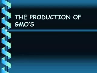 the production of gmo s