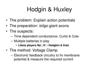 Hodgin &amp; Huxley