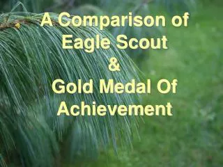 A Comparison of Eagle Scout &amp; Gold Medal Of Achievement