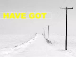 have got