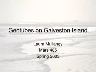 Geotubes on Galveston Island