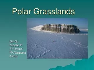 Polar Grasslands