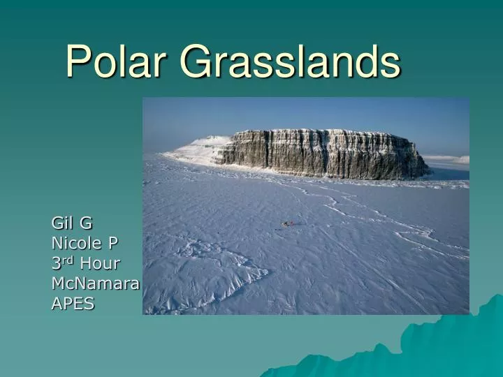 polar grasslands