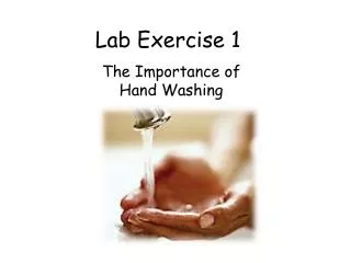 Lab Exercise 1