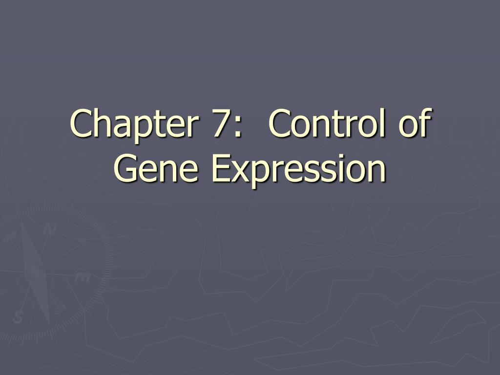 PPT - Chapter 7: Control of Gene Expression PowerPoint Presentation ...