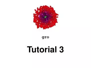 gro Tutorial 3