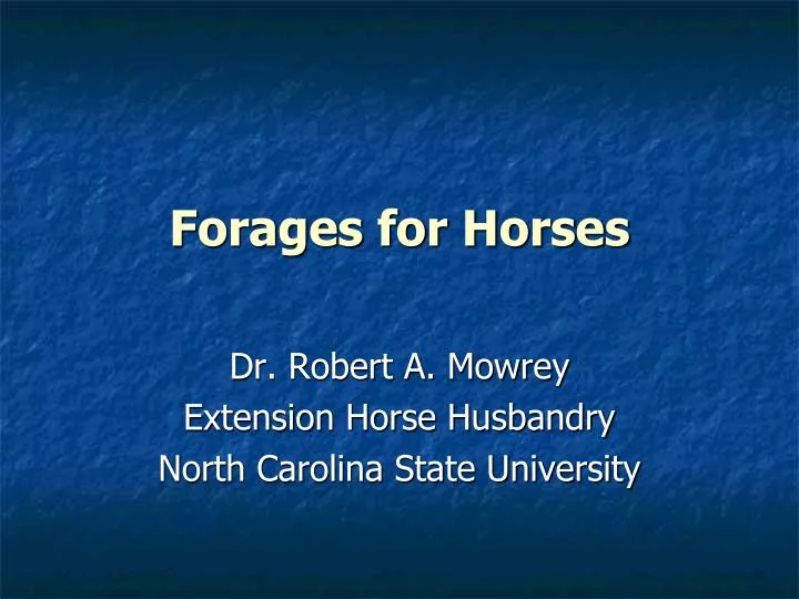 forages for horses