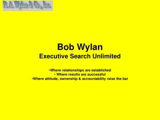 Bob Wylan Executive Search Unlimited