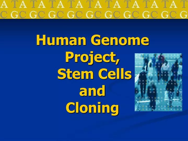 human genome project stem cells and cloning