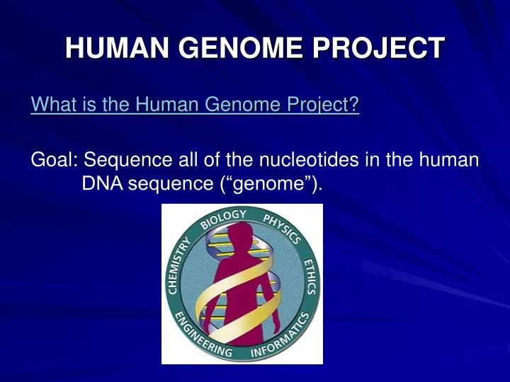 human genome project