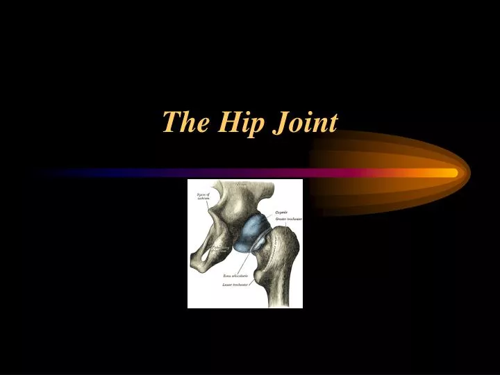 Ppt The Hip Joint Powerpoint Presentation Free Download Id6686333