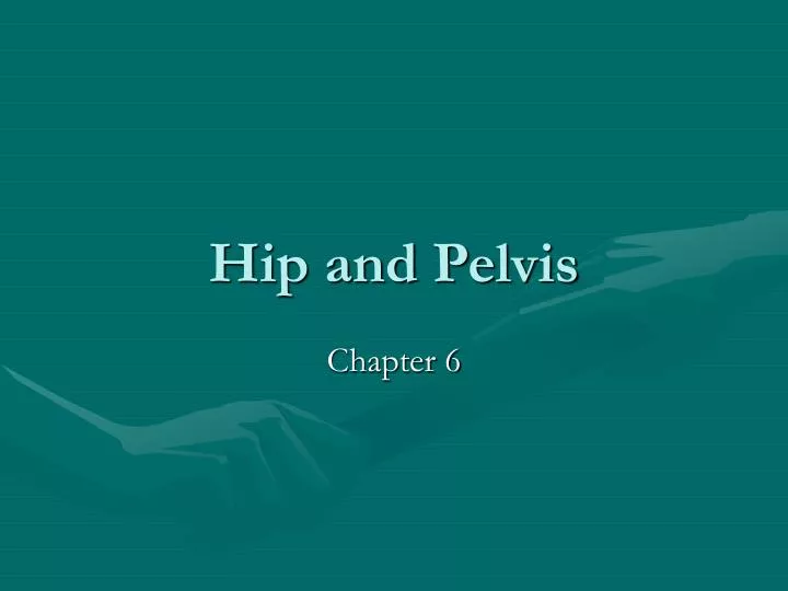 hip and pelvis