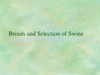 Breeds and Selection of Swine