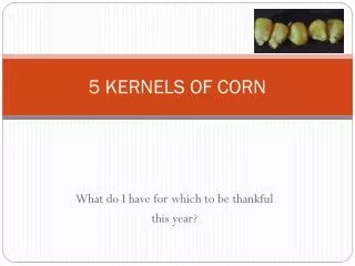 5 KERNELS OF CORN