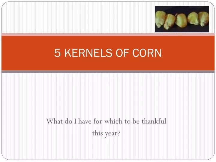 5 kernels of corn