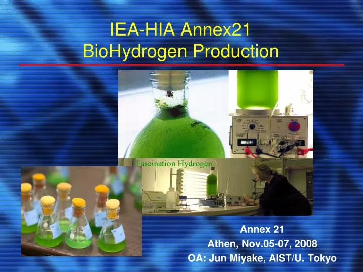 iea hia annex21 biohydrogen production