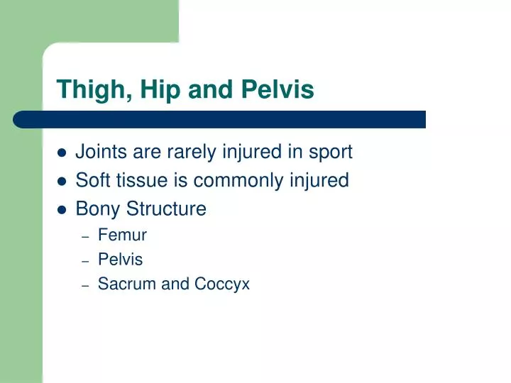 thigh hip and pelvis