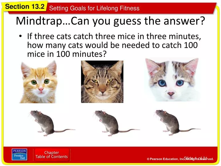 mindtrap can you guess the answer