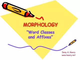 MORPHOLOGY