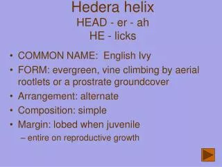 Hedera helix HEAD - er - ah HE - licks