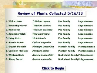 Review of Plants Collected 5/16/13