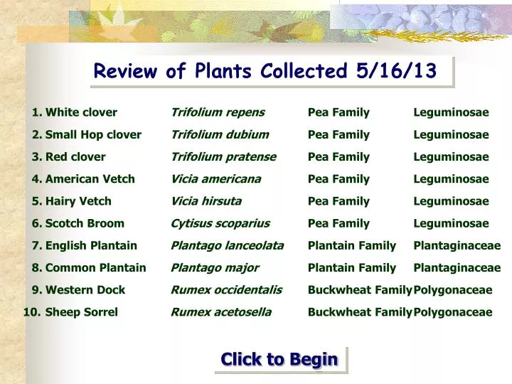review of plants collected 5 16 13