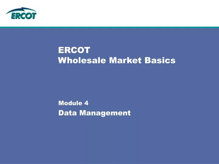 ercot wholesale market basics