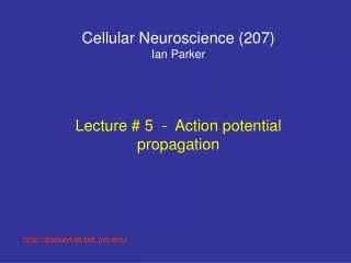 Cellular Neuroscience (207) Ian Parker